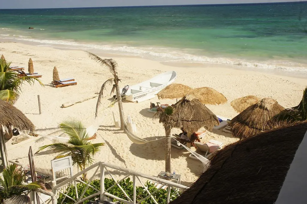 *** Hotel Punta Piedra Beach Posada Tulum Pueblo Mexico