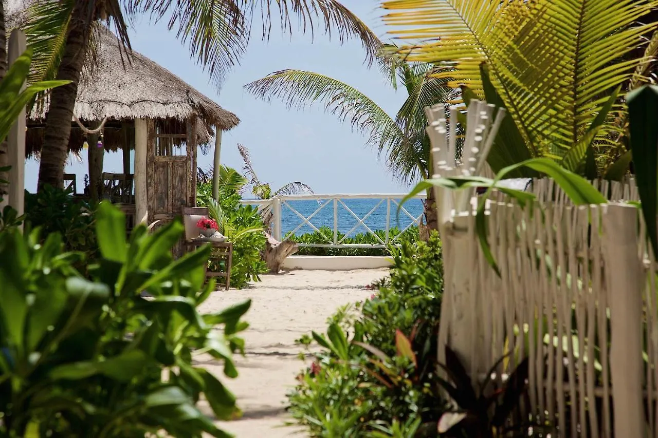 Punta Piedra Beach Posada Tulum Pueblo Hotel
