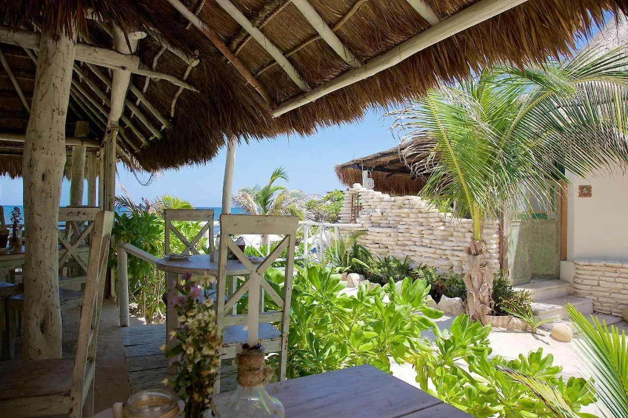 Hotel Punta Piedra Beach Posada Tulum Pueblo